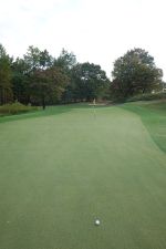 Tobacco Road 17th Narrow Green 2025